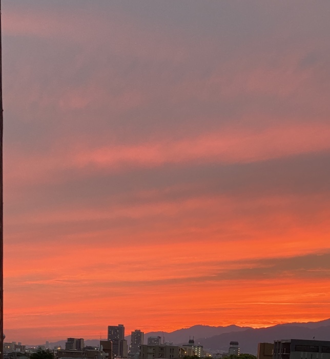 秋の夕焼けと家族団欒 Mycantik Colors マイキャンティック カラーズ 秋の夕焼けと家族団欒 Mycantik Colors マイキャンティック カラーズ