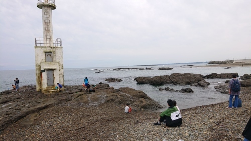大洗海岸で貝化石発見_d0096268_20502503.jpg