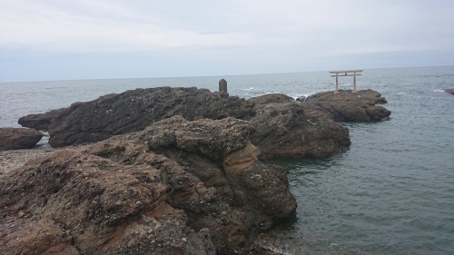 大洗海岸で貝化石発見_d0096268_20515193.jpg