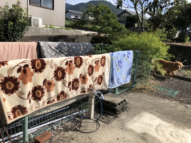 重病説あり。_a0394574_14054170.jpeg