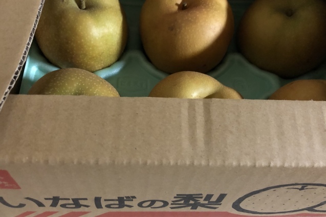 秋の日は。_a0394574_22331752.jpeg