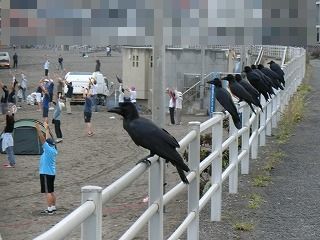 43回目のW誕生日_d0353074_15225262.jpg
