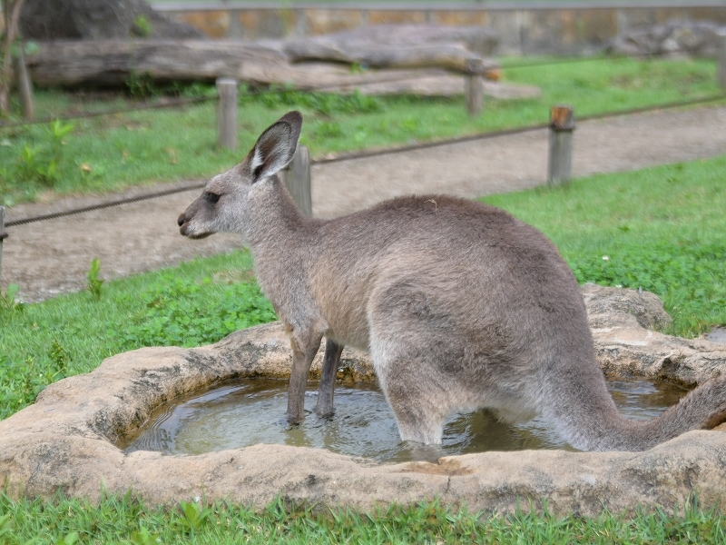 水のことを気持ちよく、水のことを冷たいと_a0164204_13544270.jpg