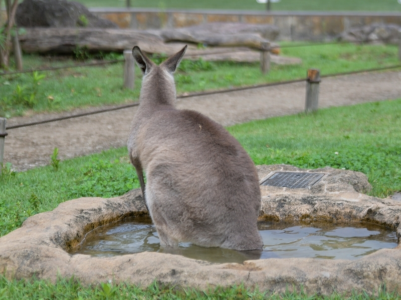 水のことを気持ちよく、水のことを冷たいと_a0164204_13570332.jpg