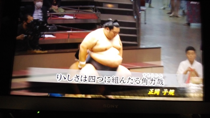 子規 スポーツ 正岡