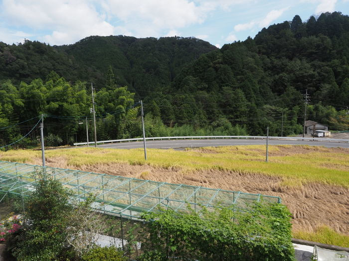 晴れたり曇ったり_c0116915_23444676.jpg