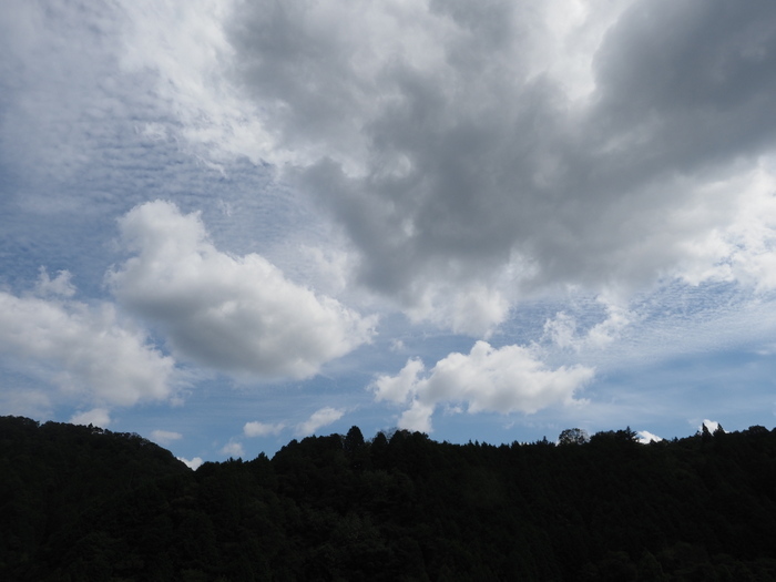 晴れたり曇ったり_c0116915_23452568.jpg