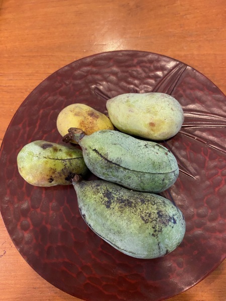 秋風が吹いて_a0224117_20453185.jpeg