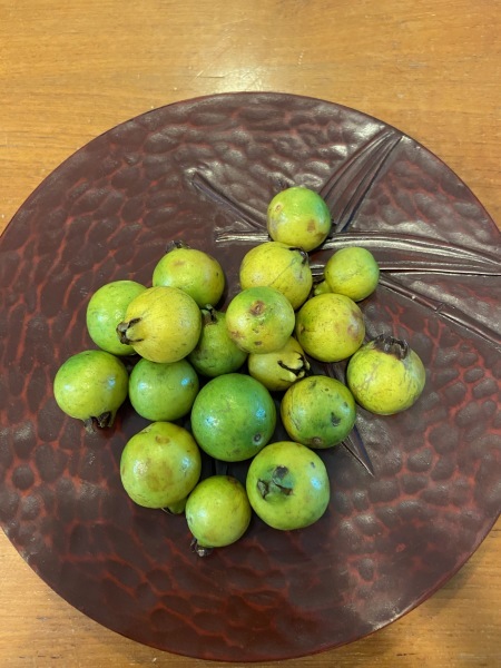 秋風が吹いて_a0224117_20454181.jpeg