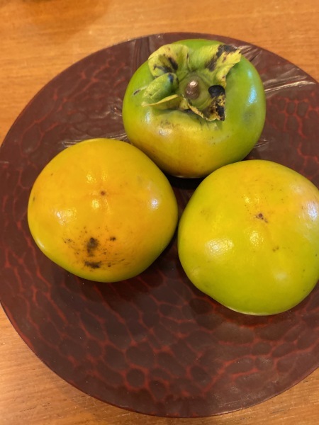 秋風が吹いて_a0224117_20455485.jpeg