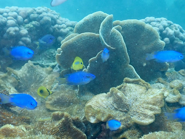 2020年9月23日（水・晴れ）甲浦_d0164831_17063420.jpg