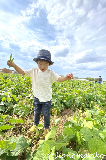 パリ郊外の農場で野菜やフルーツを収穫しよう！_c0024345_23085638.jpg