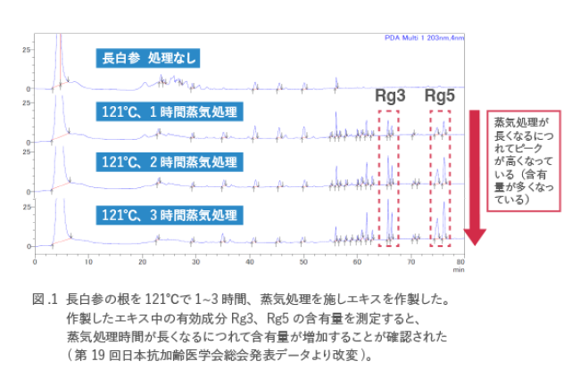 朝鮮人参を漢方薬にする。_d0180447_09514635.png