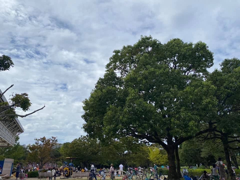 GOTOは成功でいいよね? 2020.9.22_b0002156_13149.jpg