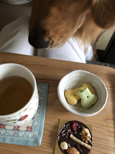 伝えきれない。_a0394574_10552048.jpeg