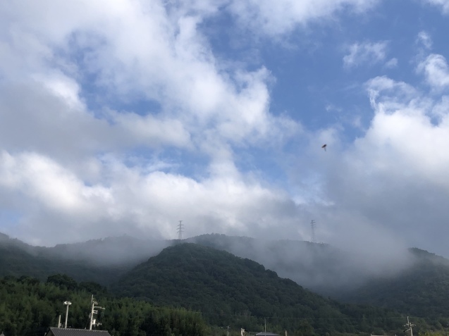 伝えきれない。_a0394574_11054235.jpeg