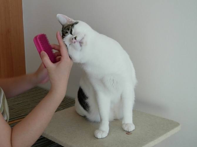 4才頃のスグル_e0171874_10010243.jpg