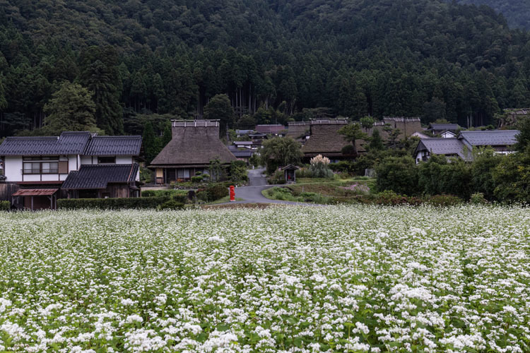 美山かやぶきの里_e0051888_05503237.jpg