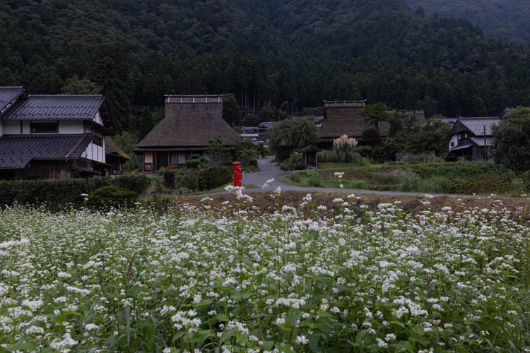 美山かやぶきの里_e0051888_05503268.jpg