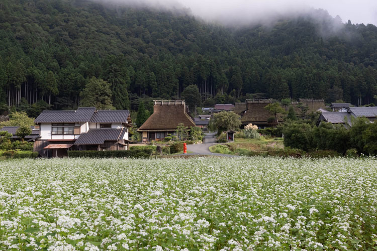 美山かやぶきの里_e0051888_05541771.jpg