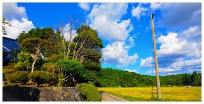 嫁の実家 とらのおたけび 嫁の実家 とらのおたけび