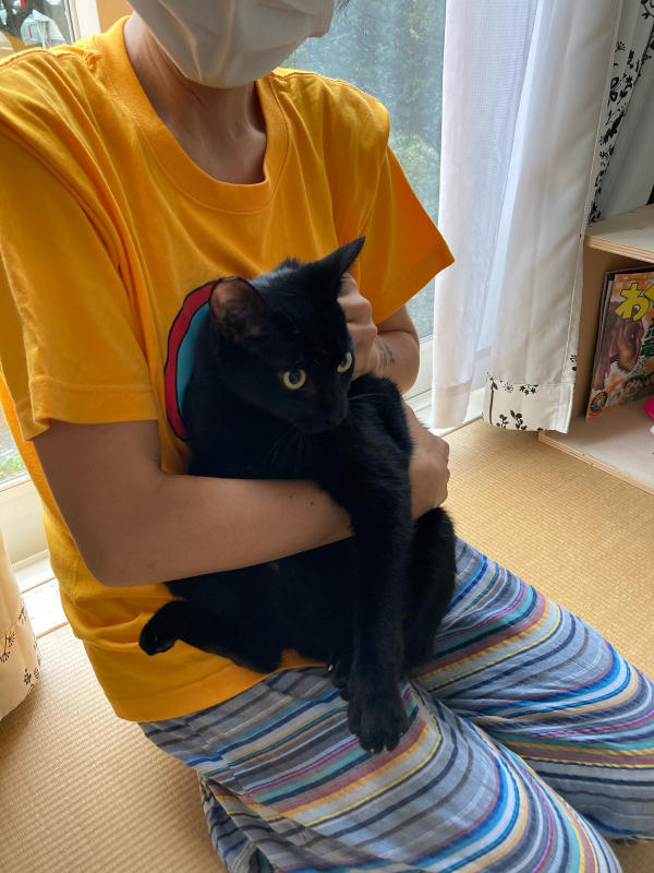 こんぶ おむすび と りんたろう お見合い決定です Npo法人 府中猫の会 こんぶ おむすび と りんたろう お見合い決定です Npo法人 府中猫の会
