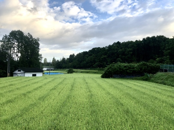 里山ウォーキング_c0388708_08014626.jpeg