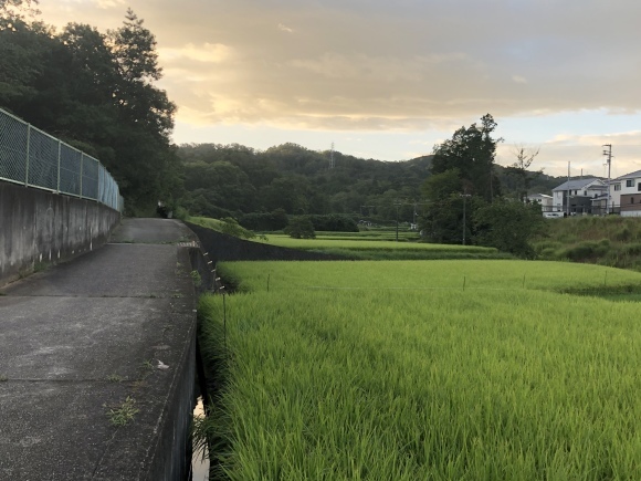 里山ウォーキング_c0388708_08032584.jpeg