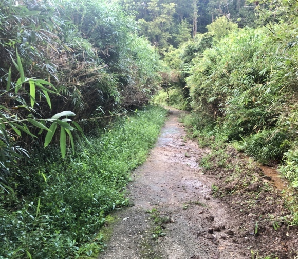 里山ウォーキング_c0388708_08044976.jpeg