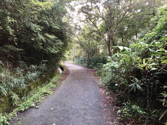 里山ウォーキング_c0388708_08065953.jpeg
