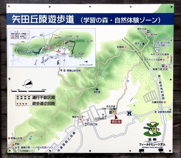 里山ウォーキング_c0388708_08090994.jpeg