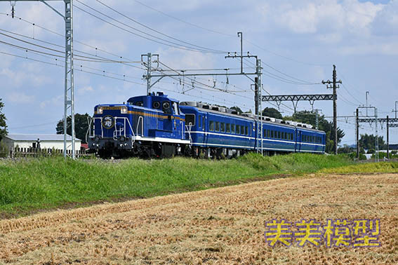 「DE10北斗星カラーデビュー記念 東武鉄道をほぼ1日満喫する旅」vol-2_d0110009_09245848.jpg