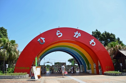 鹿児島・平川動物公園の苦闘の繁殖記録 ～ 惜しまれる一般公開間近だった1989年誕生の赤ちゃんの死_a0151913_0241646.jpg
