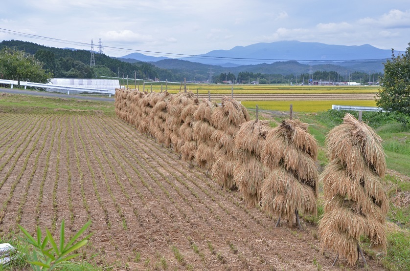 ねじりほんにょを訪ねて 栗駒山の里だより