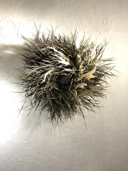 月の本質_c0102228_19242193.jpeg