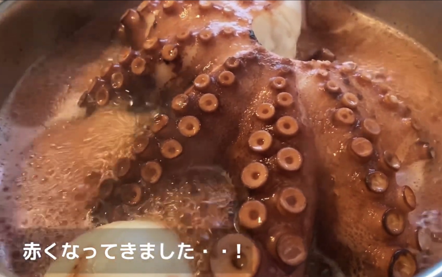 ポルトガルのタコ料理 和のお菓子作り