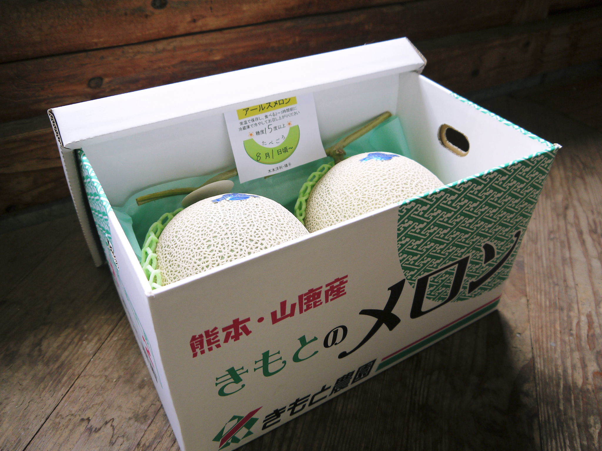 熊本県産!匠が育てるマスクメロン!令和5年の冬の収穫へ向け苗床と定植作業後の様子(後編)_a0254656_14321122.jpg