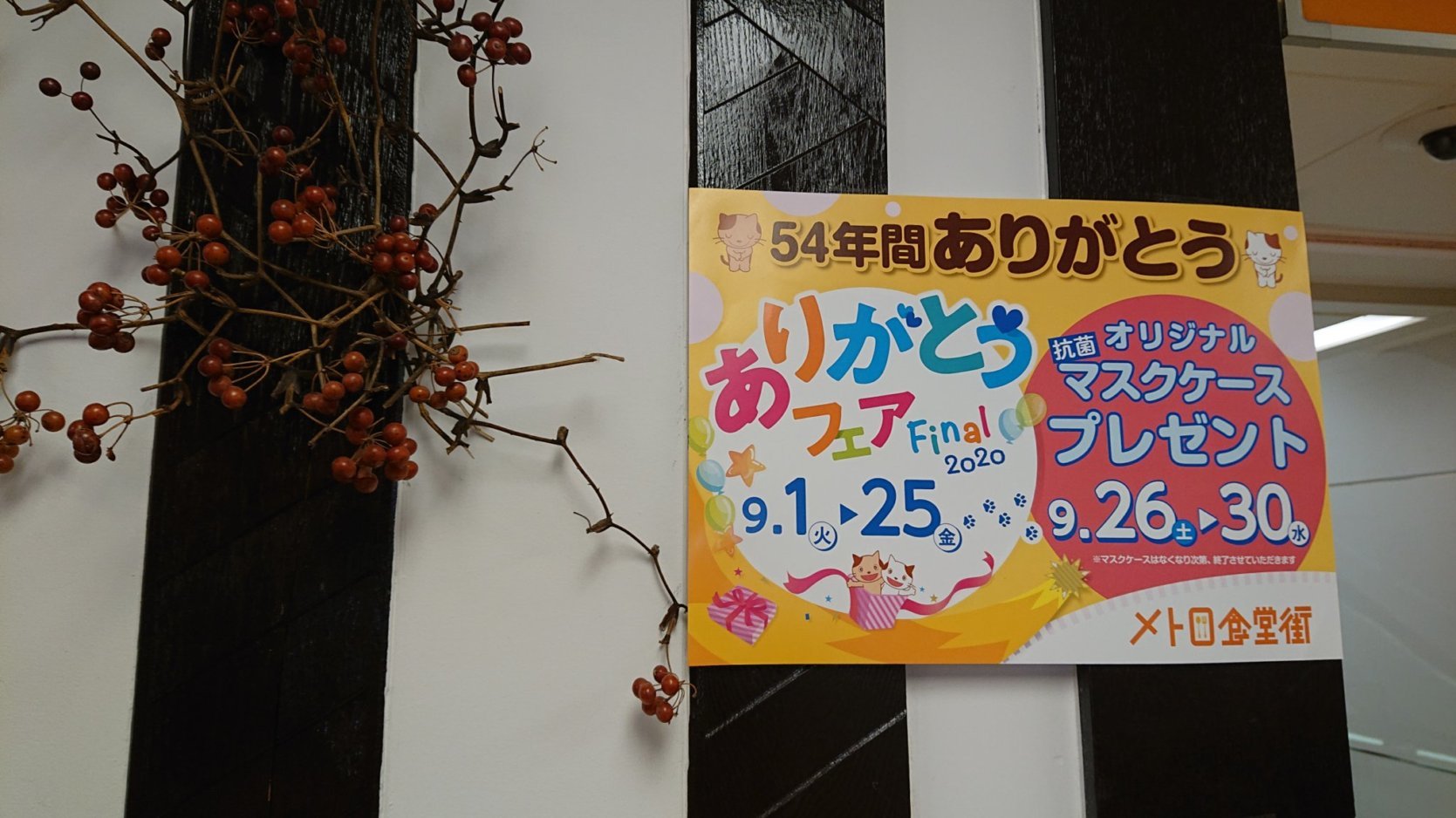 新宿西口メトロ食堂街_e0249060_18460622.jpg