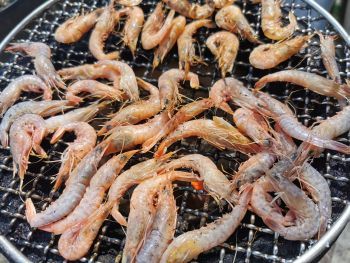 庭で魚と芋を焼く_a0007462_13524791.jpg