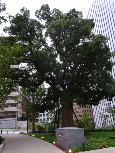 東京エディション虎ノ門 (1) チェックイン_b0405262_00325185.jpg