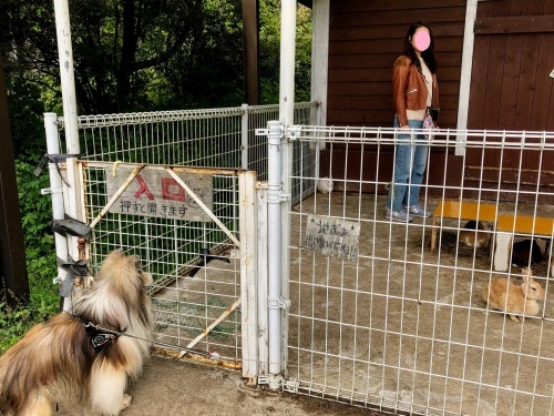 秋旅二日目 山登りと川遊びと_a0157174_21181938.jpg