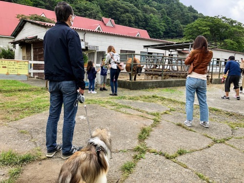 秋旅二日目 山登りと川遊びと_a0157174_21204267.jpg