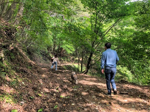 秋旅二日目 山登りと川遊びと_a0157174_21264584.jpg