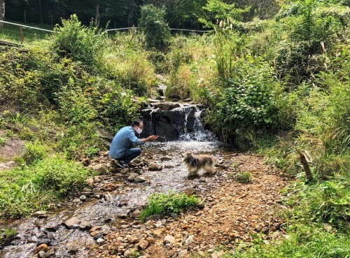 秋旅二日目 山登りと川遊びと_a0157174_21510512.jpg