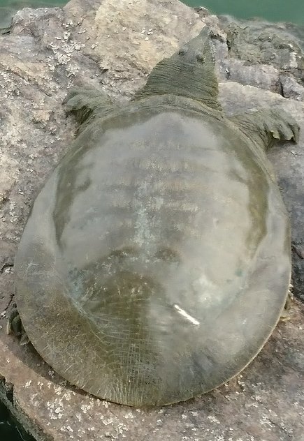#144) 気候変動が急速な近年の四季…?_c0222083_08135275.jpg