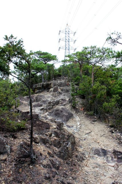 熊山登山 中尾鉄塔コースの巻_f0325295_14430130.jpg