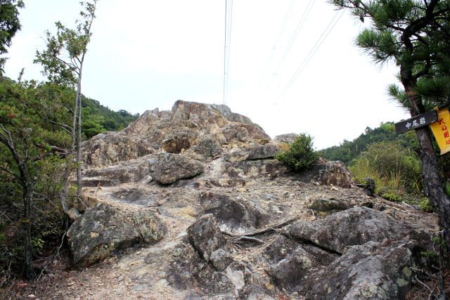 熊山登山 中尾鉄塔コースの巻_f0325295_14430545.jpg