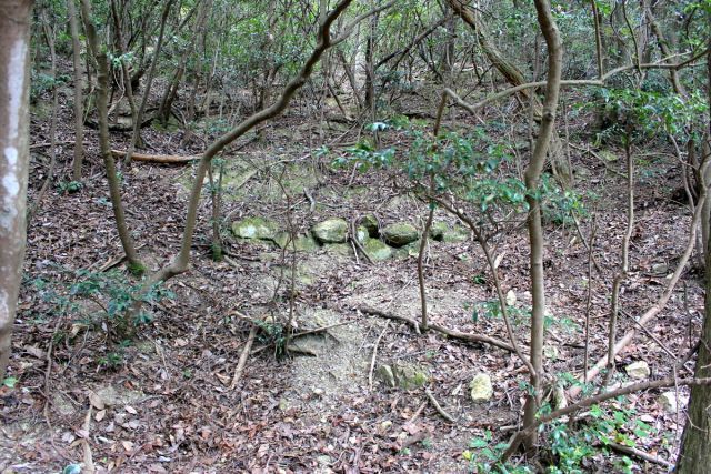 熊山登山 中尾鉄塔コースの巻_f0325295_14431346.jpg