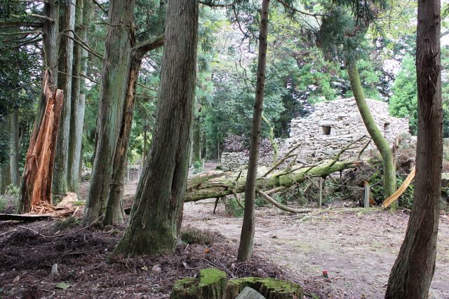 熊山登山 中尾鉄塔コースの巻_f0325295_17215624.jpg
