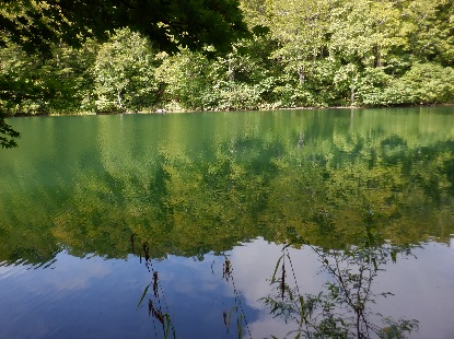 鎌池の虚像_e0077899_9544577.jpg